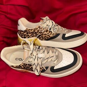 Coach shoes